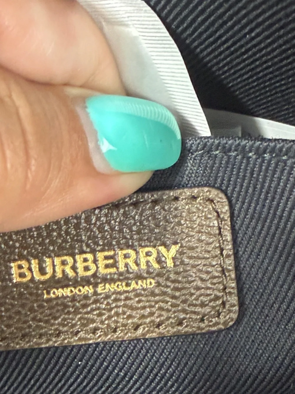 BURBERRY CAMERA BAG